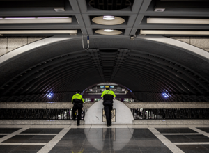 Webinar: Impact on Public Agencies