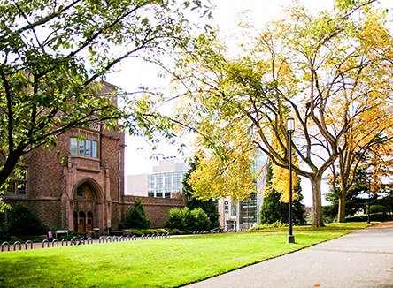 building with grass