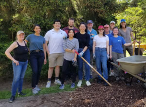 Picture of Pacifica attorneys volunteering at the Washington Park Arboretum.