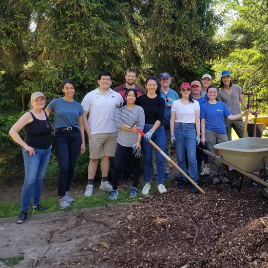 Picture of Pacifica attorneys volunteering at the Washington Park Arboretum.