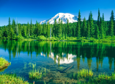 Chambers and Partners Recognizes Pacifica Attorneys and Practice Groups in 2024 Rankings